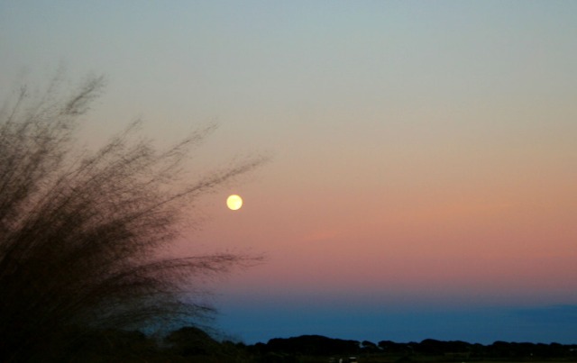 Full moon over Kiawah