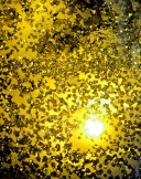 ice crystals in gold