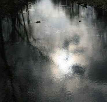 silvery water reflections