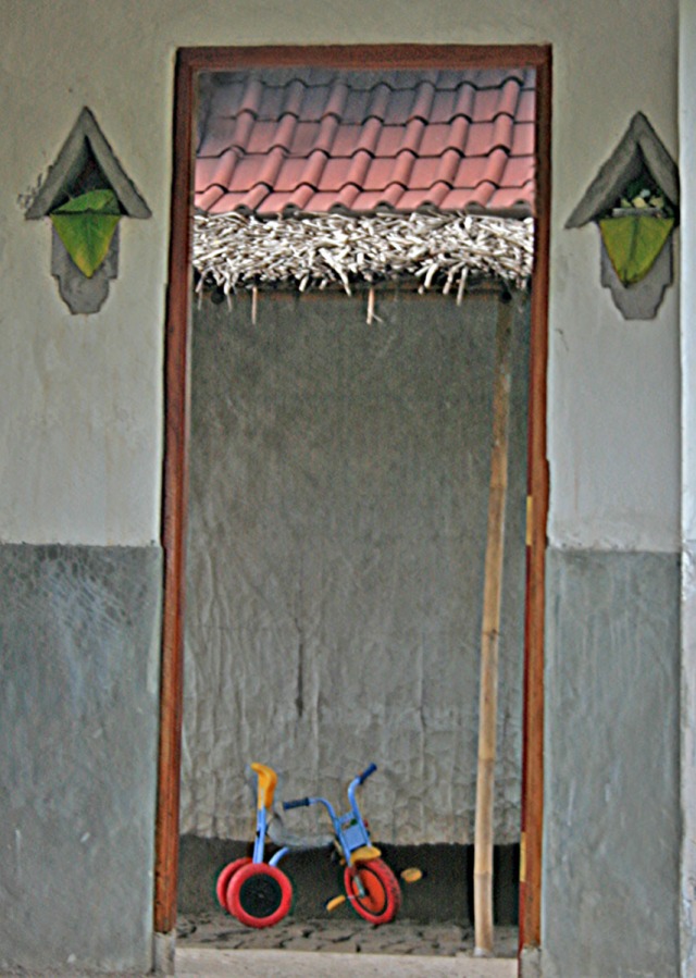 Tricycle in entryway