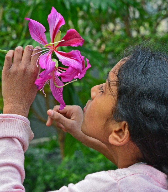 girl smelling blossom