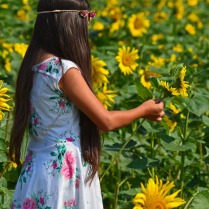 young girl with flowers in hair 120